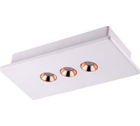 Накладной светодиодный светильник NOVOTECH LED 12W CARO 357940