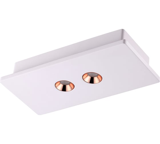 Накладной светодиодный светильник NOVOTECH LED 8W CARO 357939 1