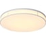 Потолочная люстра ST LUCE FELLA SL417.512.01 4