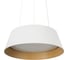 Подвесной светодиодный светильник LOFT IT Evans 10224P White 5