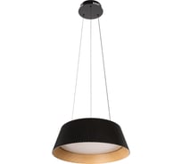 Подвесной светодиодный светильник LOFT IT Evans 10224P Black