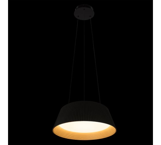 Подвесной светодиодный светильник LOFT IT Evans 10224P Black