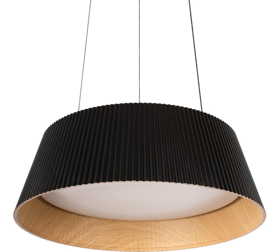 Подвесной светодиодный светильник LOFT IT Evans 10224P Black
