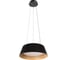 Подвесной светодиодный светильник LOFT IT Evans 10224P Black 1
