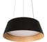 Подвесной светодиодный светильник LOFT IT Evans 10224P Black 5