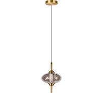 Подвесной светодиодный светильник LOFT IT Helix 10421/C Smoke