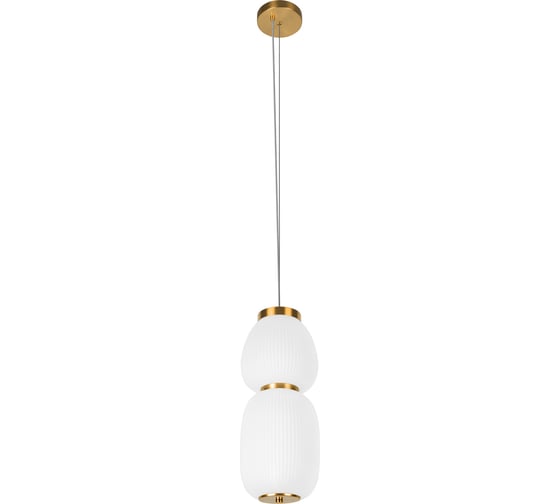 Подвесной светодиодный светильник LOFT IT Duff 10422/A