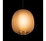 Подвесной светильник LOFT IT Hive 10425 White 6