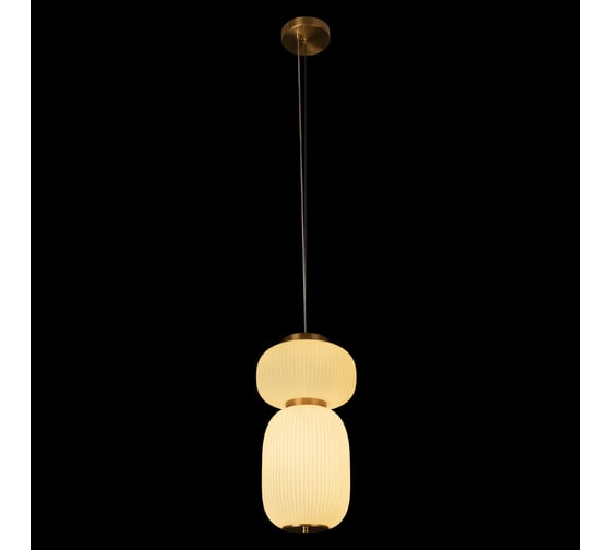 Подвесной светодиодный светильник LOFT IT Duff 10422/B