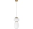 Подвесной светодиодный светильник LOFT IT Duff 10422/B 1