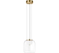 Подвесной светодиодный светильник LOFT IT Tinkerbell 10428/A