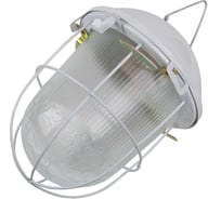 Светильник настенно-потолочный General Lighting Systems НСП 262х172мм 02-100-002.01, под лампу Е27 до 100Вт, корпус металл 437822