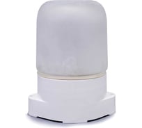 Светильник настенно-потолочный ЖКХ для бани и сауны General Lighting Systems 138х105х84мм GCF-SNP-60-E27-IP65-W 437783