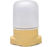 Светильник настенно-потолочный ЖКХ для бани и сауны General Lighting Systems 138х105х84мм GCF-SNP-60-E27-IP65-W 437784