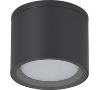 Светильник уличный потолочный ST luce серый/белый GX53 1х702.01 SL9006.702.01