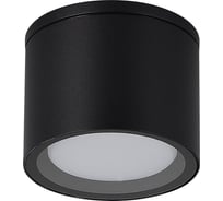 Светильник уличный потолочный ST LUCE черный/белый GX53 1*9W - SL9006.402.01
