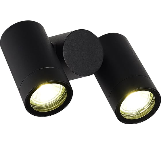 Светильник уличный потолочный ST LUCE черный/белый GU10 2*50W SL9011.402.02