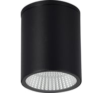 Светильник уличный потолочный ST LUCE черный/белый LED 1*12W 3000K/4000K/6500K SL9514.412.01