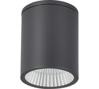 Светильник уличный потолочный ST luce серый/белый LED 1х12W 3000K/4000K/6500K SL9514.712.01