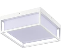 Светильник уличный потолочный ST LUCE белый/белый LED 1*20W 3000K/4000K/5000K SL9517.502.01