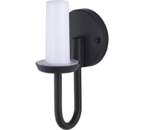Светильник уличный настенный ST luce темно-серый LED 1х3W 3000K SL9539.701.01