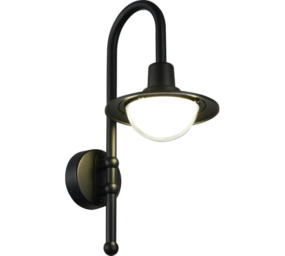 Светильник уличный настенный ST LUCE черный/прозрачный LED 1*10W 4000K SL9512.401.01