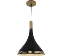 Подвесной светильник ST LUCE AGILITA SL710.403.01