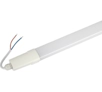 Линейный светодиодный светильник ЭРА SPP-301-45-6K-M 45Вт 6500K IP65 1200 матовый Б0066950