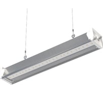 Светильник LEDEL L-industry NEW 24/23/Д/5,0K/02/IKII-31/220AC IP54 L 401033L