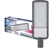 Светильник консольный линзованный IONICH ILED-ДКУ-150-SMD2835-6500-L-IP65 2143