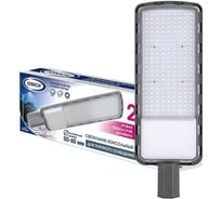 Светильник консольный линзованный IONICH ILED-ДКУ-200-SMD2835-6500-L-IP65 2144