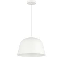 Светильник подвесной EVOLUCE Белый/Белый E27 1*40W SLE1805-503-01