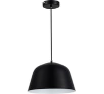 Светильник подвесной EVOLUCE Черный/Черный E27 1*40W SLE1805-403-01