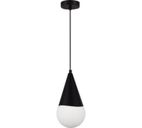 X Evoluce SLE1197-403-01