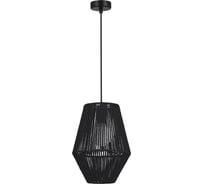 Светильник подвесной Evoluce черный/черный E27 1х40W SLE6025-413-01