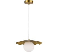 X Evoluce SLE1196-303-01