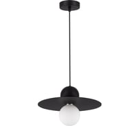 X Evoluce SLE1257-443-01