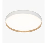 Светильник с пультом Citilux ETALON LED RGB белый+бук CL750400R