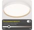 Светильник с пультом Citilux ETALON LED RGB белый+бук CL750400R 21