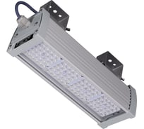 Светильник светодиодный TRANSCOM ДиУС ПРОМ-40 ОПТИК К25 Т-28-П-40-К-КП-65