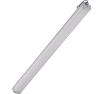 Светильник светодиодный TRANSCOM Эконом Универсал-75/17 IP67 Т-39-П-75-Д-Н-67