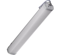 Светильник светодиодный TRANSCOM Эконом Универсал-36/17 IP67 Т-39-П-36-Д-Н-67