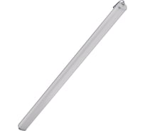 Светильник светодиодный TRANSCOM Эконом Универсал-100/17 IP67 Т-39-П-100-Д-Н-67