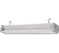 Светильник LEDEL L-industry NEW 24/23/Д/5,0K/02/IKII-21/220AC IP54 L 401023L