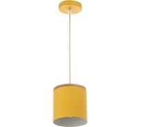 Светильник BayerLux 40387/1 E27 40Вт желтый 13х13х15-115 см 4964568