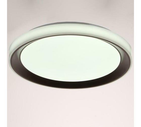 Светильник BayerLux с ПДУ 1559/1BK LED 96Вт 2700-6000К коричневый, диаметр 50 см 5512091 1