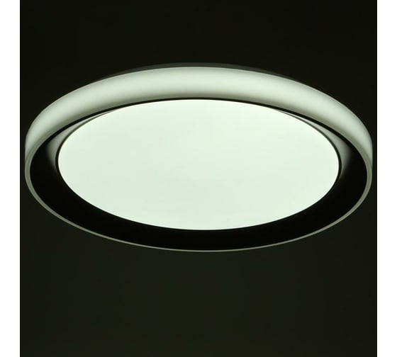 Светильник BayerLux с ПДУ 1559/1BK LED 96Вт 2700-6000К коричневый, диаметр 50 см 5512091