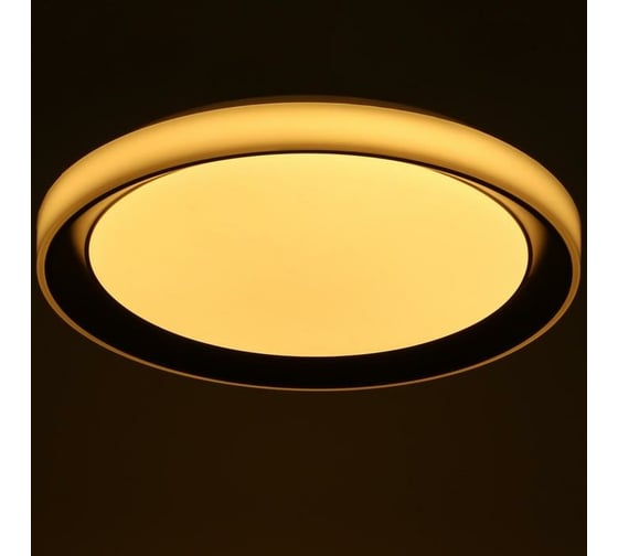 Светильник BayerLux с ПДУ 1559/1BK LED 96Вт 2700-6000К коричневый, диаметр 50 см 5512091