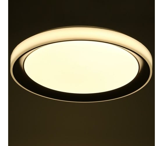 Светильник BayerLux с ПДУ 1559/1BK LED 96Вт 2700-6000К коричневый, диаметр 50 см 5512091