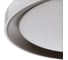 Светильник BayerLux с ПДУ 1559/1BK LED 96Вт 2700-6000К коричневый, диаметр 50 см 5512091 5